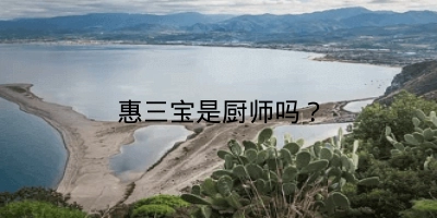 惠三宝是厨师吗？