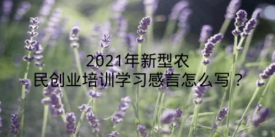 2021年新型农民创业培训学习感言怎么写？