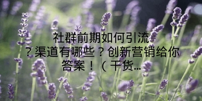 社群前期如何引流？渠道有哪些？创新营销给你答案！（干货…