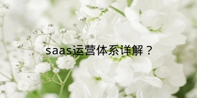 saas运营体系详解？