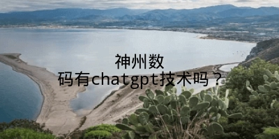 神州数码有chatgpt技术吗？