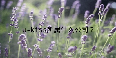 u-kiss所属什么公司？