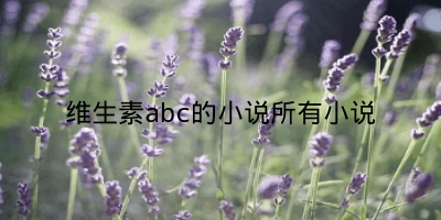 维生素abc的小说所有小说