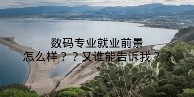 数码专业就业前景怎么样？？又谁能告诉我？？