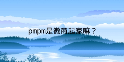 pmpm是微商起家嘛？