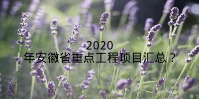 2020年安徽省重点工程项目汇总？