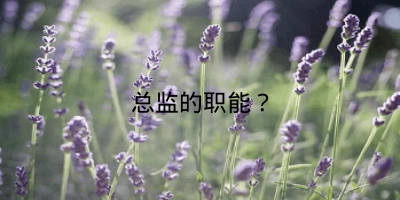 总监的职能？