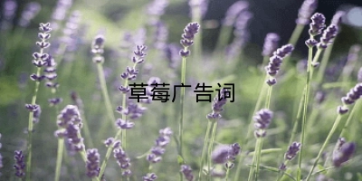 草莓广告词