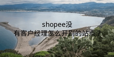 shopee没有客户经理怎么开别的站点？