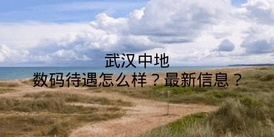 武汉中地数码待遇怎么样？最新信息？