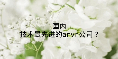 国内技术最先进的arvr公司？