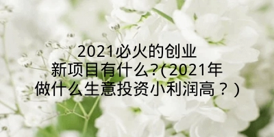 2021必火的创业新项目有什么?(2021年做什么生意投资小利润高？)