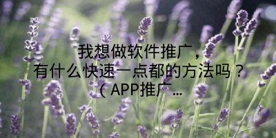 我想做软件推广，有什么快速一点都的方法吗？（APP推广…