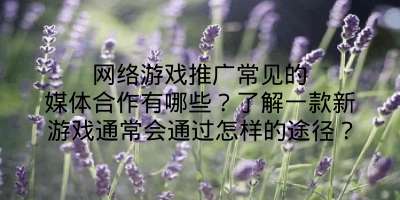 网络游戏推广常见的媒体合作有哪些？了解一款新游戏通常会通过怎样的途径？