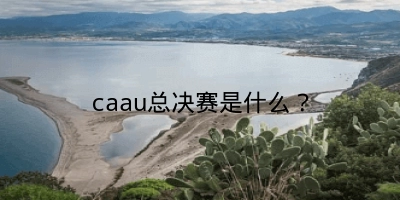 caau总决赛是什么？