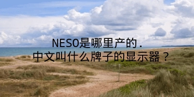 NESO是哪里产的. 中文叫什么牌子的显示器？