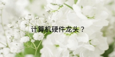 计算机硬件龙头？