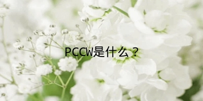 PCCW是什么？