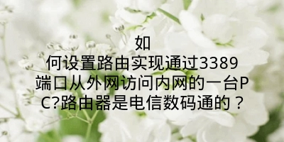 如何设置路由实现通过3389端口从外网访问内网的一台PC?路由器是电信数码通的？