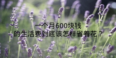 一个月600块钱的生活费到底该怎样省着花？