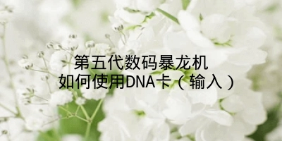 第五代数码暴龙机 如何使用DNA卡（输入）