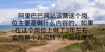 阿里巴巴网站运营这个岗位主要是做什么内容的，如果在这个岗位上做了3年左右，会向那个方向转？产品经理呢