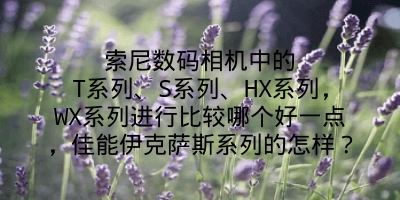 索尼数码相机中的T系列、S系列、HX系列，WX系列进行比较哪个好一点，佳能伊克萨斯系列的怎样？