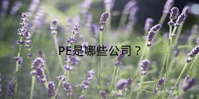 PE是哪些公司？