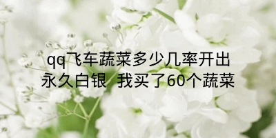 qq飞车蔬菜多少几率开出永久白银 我买了60个蔬菜