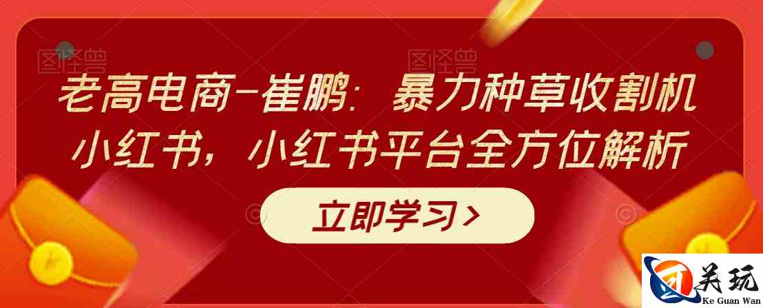 老高电商-崔鹏：暴力种草收割机小红书，小红书平台全方位解析