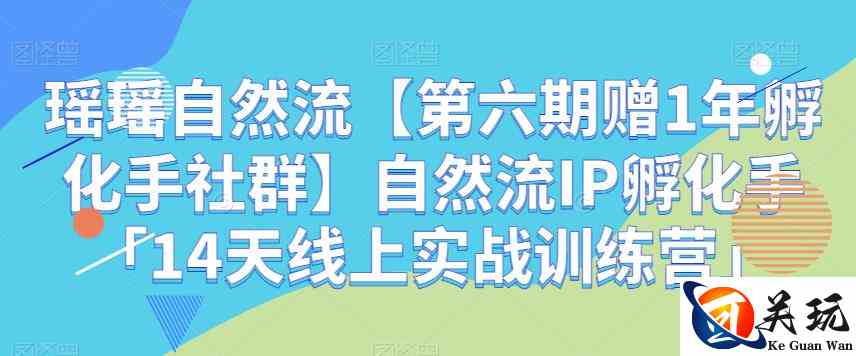 瑶瑶自然流【第六期赠1年孵化手社群】自然流IP孵化手「14天线上实战训练营」