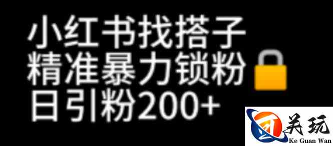 小红书找搭子暴力精准锁粉+引流日引200+精准粉