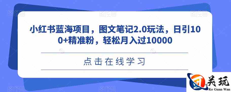 小红书蓝海项目，图文笔记2.0玩法，日引100+精准粉，轻松月入过10000【揭秘】