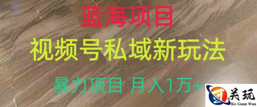 蓝海项目，视频号私域新玩法，暴力项目月入1万+【揭秘】