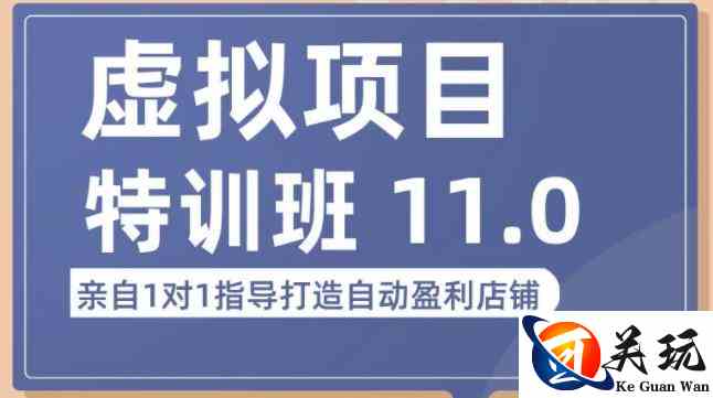 陆明明·虚拟项目特训班（10.0+11.0），0成本获取虚拟素材，0基础打造自动盈利店铺